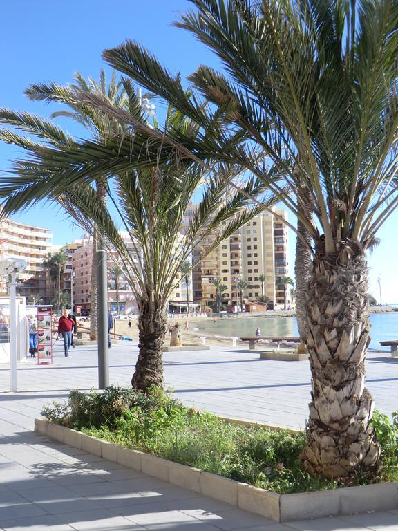 Casas Holiday - Playa Del Cura 2 Torrevieja Rum bild